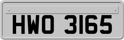 HWO3165