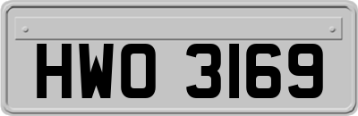 HWO3169