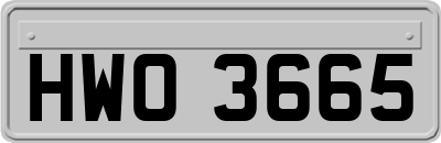 HWO3665