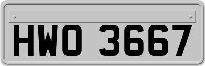 HWO3667