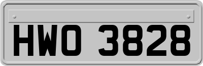 HWO3828