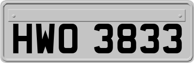 HWO3833