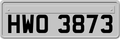 HWO3873
