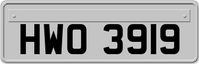 HWO3919