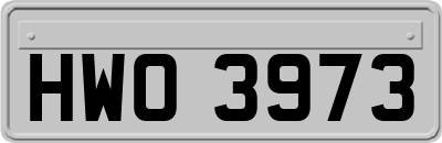 HWO3973