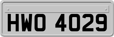 HWO4029