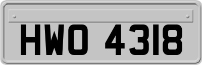 HWO4318