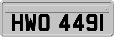 HWO4491