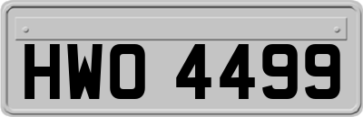 HWO4499