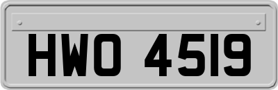 HWO4519