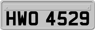 HWO4529