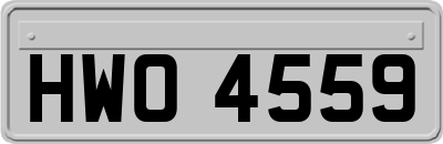 HWO4559