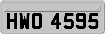 HWO4595