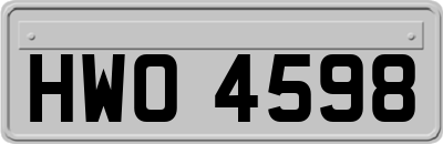 HWO4598