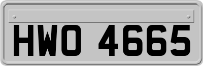 HWO4665