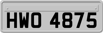 HWO4875
