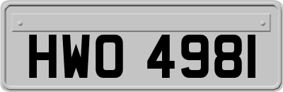 HWO4981