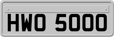HWO5000