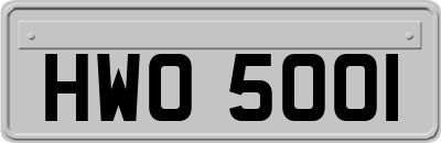 HWO5001