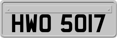 HWO5017
