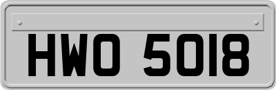 HWO5018