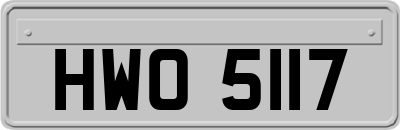 HWO5117
