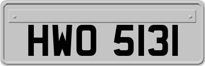 HWO5131