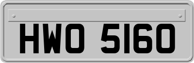 HWO5160