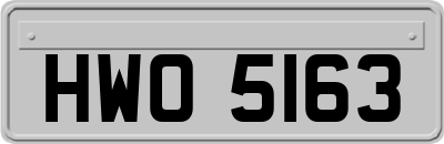 HWO5163