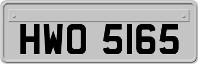 HWO5165