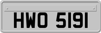 HWO5191