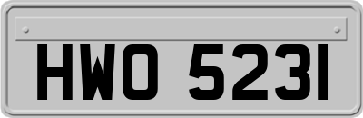 HWO5231