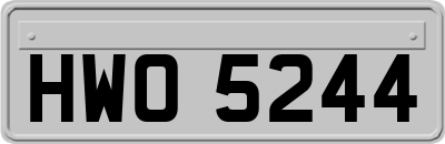 HWO5244