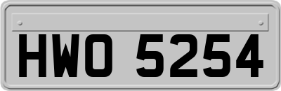 HWO5254