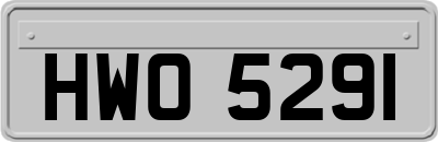 HWO5291