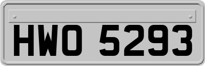 HWO5293