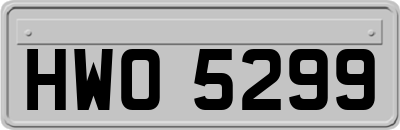 HWO5299
