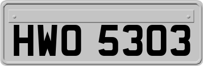 HWO5303