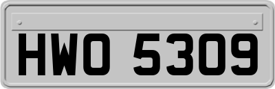 HWO5309