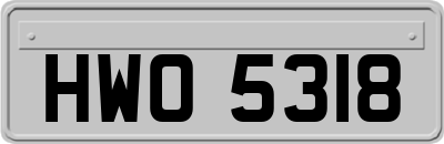 HWO5318