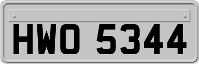 HWO5344