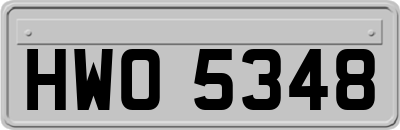 HWO5348