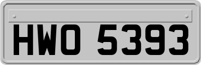 HWO5393