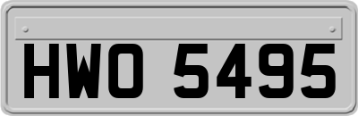 HWO5495