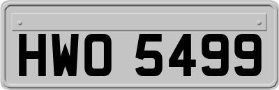 HWO5499