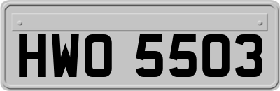 HWO5503
