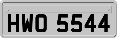 HWO5544