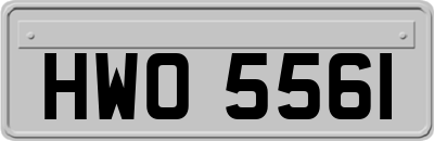 HWO5561
