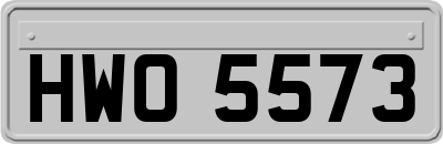 HWO5573