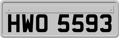 HWO5593